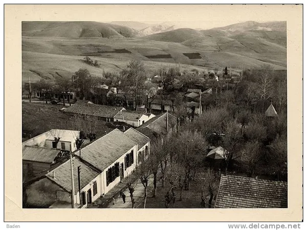 1961
